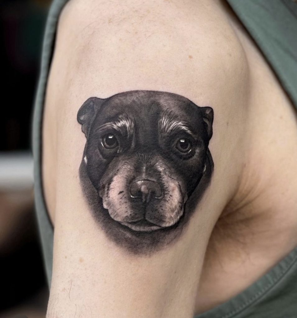 Hunde portrett tatovering 